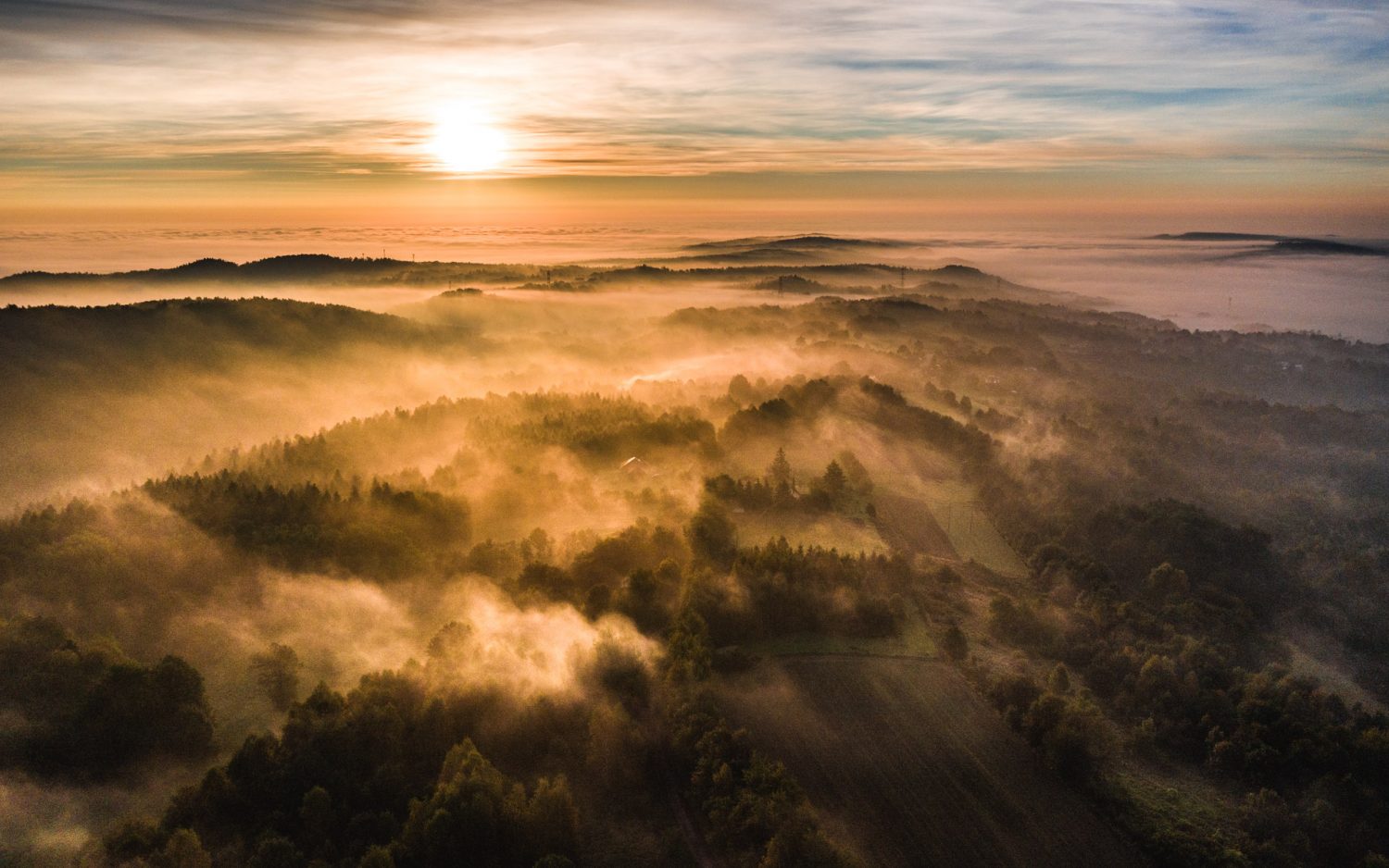 Podkarpackie cięcie laserem